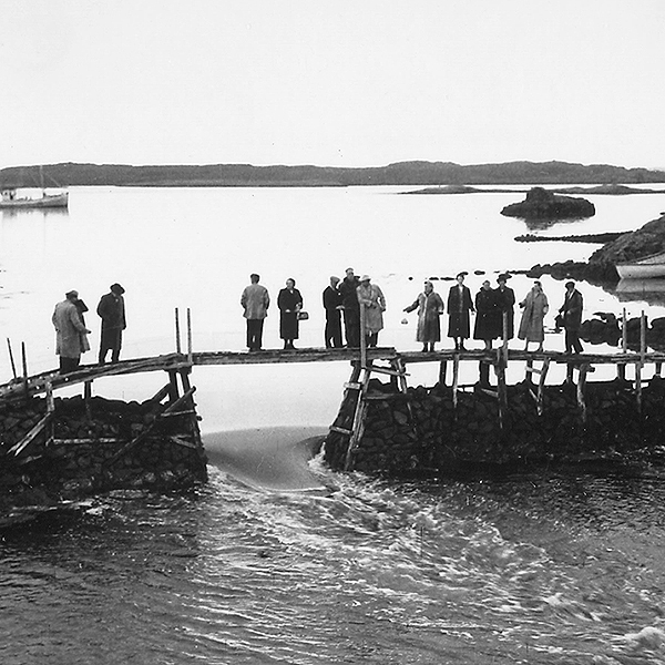 2021RARIKBridge600x600.jpg