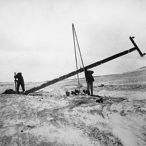 2021RARIKDig600x600.jpg