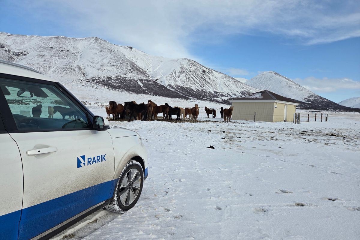 &THORN;r&yacute;stifall hefur lengi gert rekstur d&aelig;lust&ouml;&eth;var okkar vi&eth; Fellsenda erfi&eth;an.