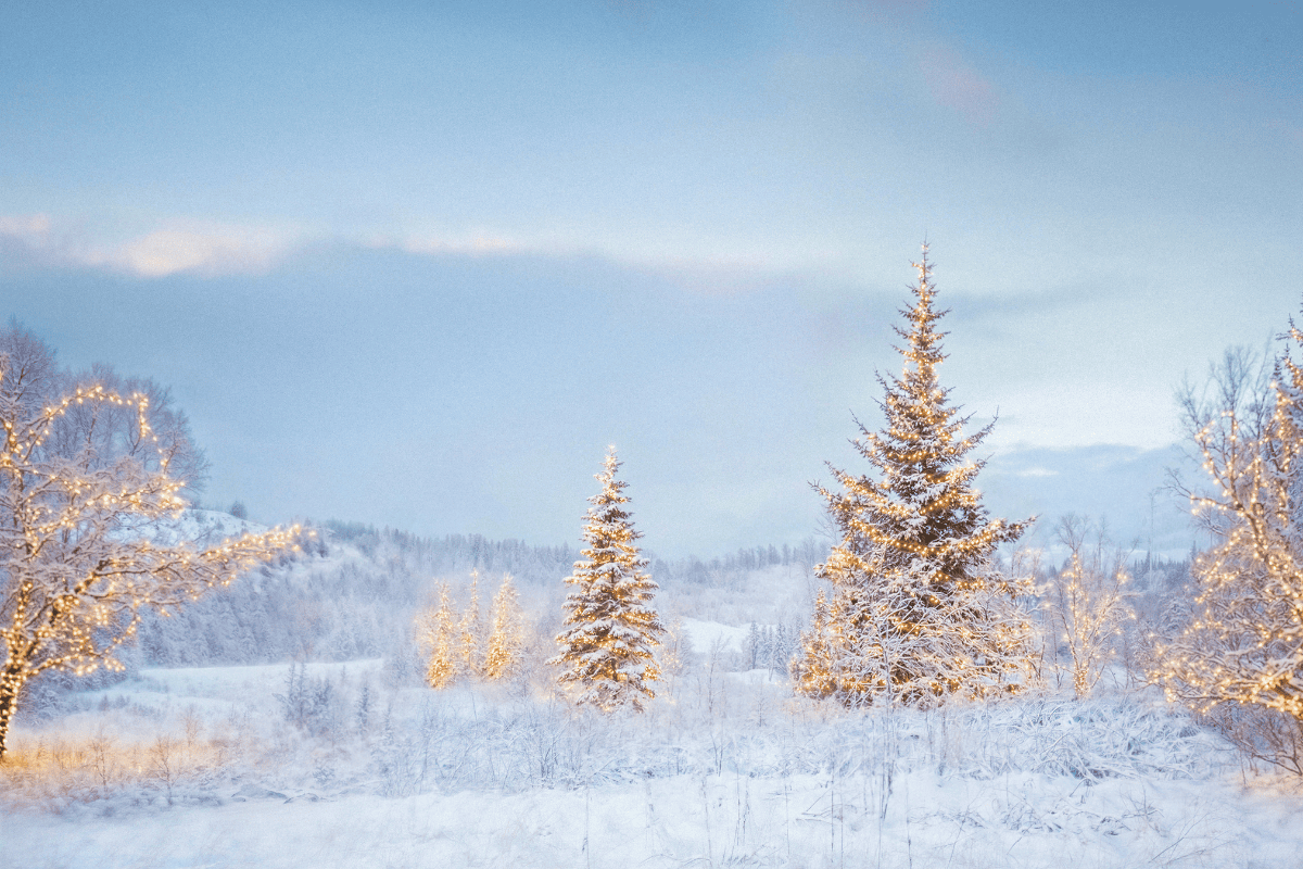 Mynd: Bernhard Kristinn